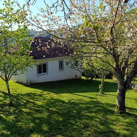 Casa Loureira - Ribeira Sacra Vilarino (Lugo)