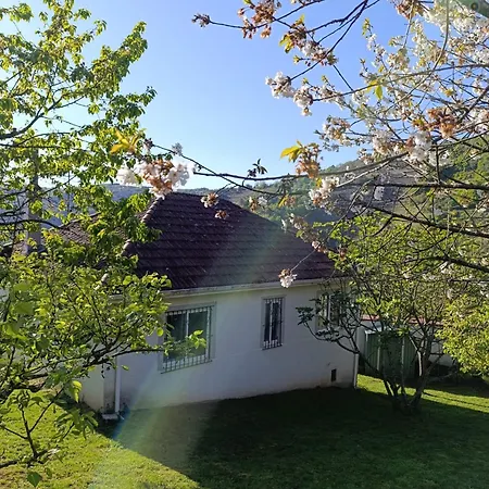 Casa Loureira - Ribeira Sacra Casa de Férias Vilarino (Lugo)